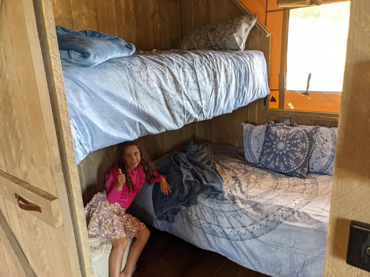 Luxury tent Maple Park *